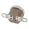 CH. EXPERT PREMIUN E CH. SMART