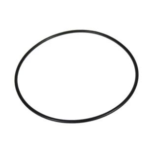 INTUITA
