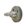 D25501K-B2 TIPO1