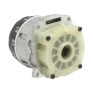 DHP486