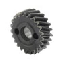 DW245