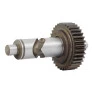 DW292 E DW294