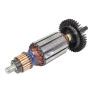 DW300-BR TIPO10