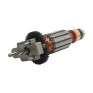 DWE300-B2