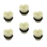EWS30, EWS31 E EWS50
