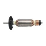 KIT16800