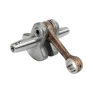 RBC421L