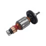TM555-B2 TIPO1, TM650-B2 TIPO1 E TM650-B2 TIPO10